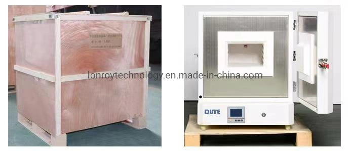 Lr-B004-B Hot Air Circulation System Lab Vacuum Drying Oven