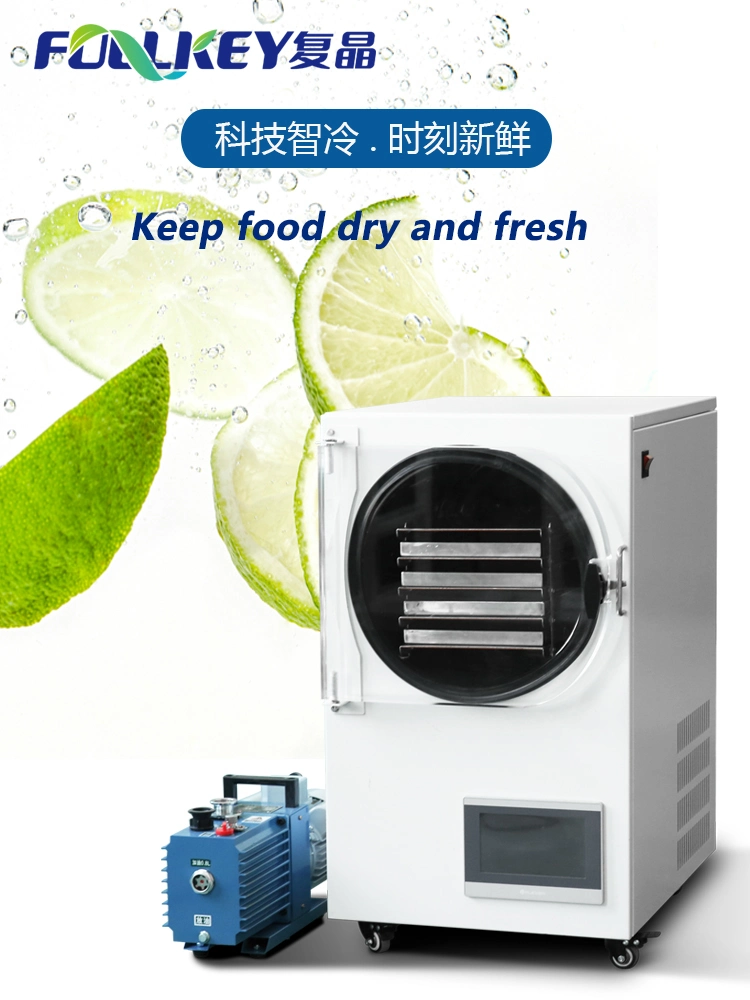 Vacuum Freeze Dryer Vegetables, Fruits and Foods Small Household Size Freeze Dryer 50 Degrees Celsius 8kg