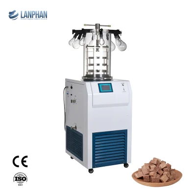 Laboratoire The Pilot-Scale Vacuum Benchtop Small Freeze Mini Dryer for Freezing, Pharmaceutical